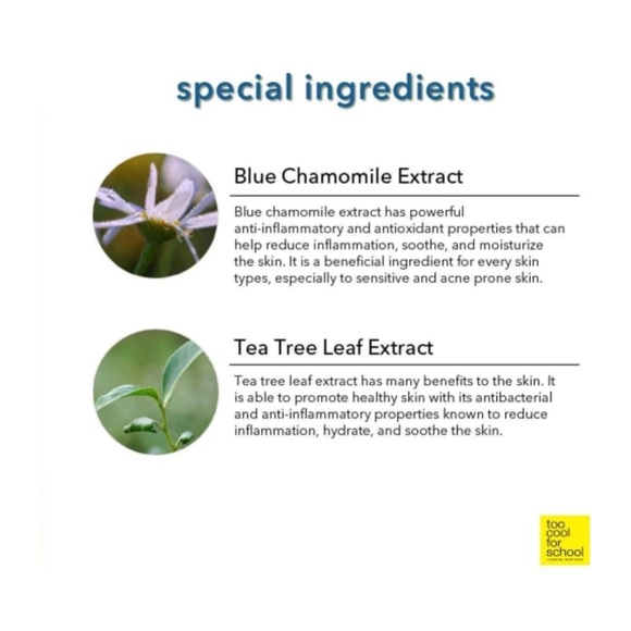 Artclass - Too cool for school perfection finishing micro blurring powder NEW - Picture 9 of 11